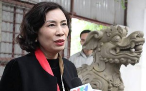 Đề xuất lập 'vườn tượng' sư tử ngoại lai