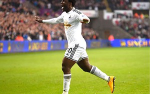 Wilfried Bony: 1 trong 5 tiền đạo hay nhất châu Âu