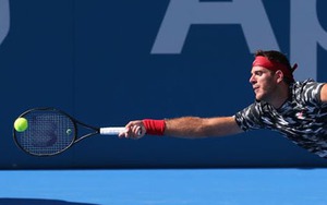 Giải Sydney: Martin del Potro bất ngờ bị loại
