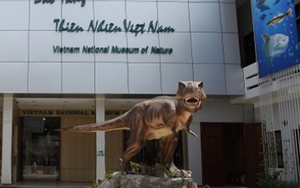 Hai địa điểm dự kiến xây dựng Bảo tàng Thiên nhiên tại Hà Nội