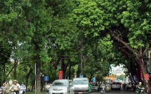 Chuyện Hà Nội: Khát vọng xanh