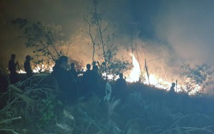 Dập tắt đám cháy rừng keo ở Uông Bí - Quảng Ninh