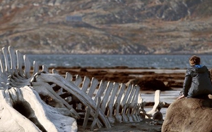 Nga xóa sạch các câu chửi thề trong ‘Leviathan’