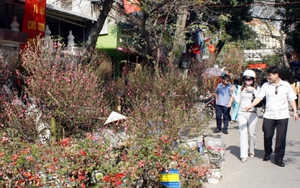Trăm năm chợ hoa cổ Hàng Lược
