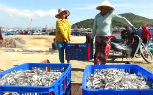 Ăn Tết trên biển (Bài 1): Cờ Tổ quốc không bao giờ ngừng bay trên biển