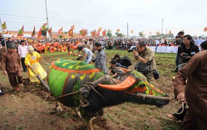 Khai hội Tịch điền, xem vua đi cày