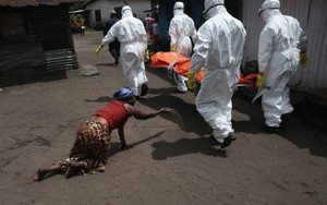 EU tổ chức hội nghị quốc tế về công tác phòng chống Ebola