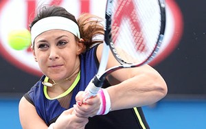 Marion Bartoli cân nhắc tái xuất