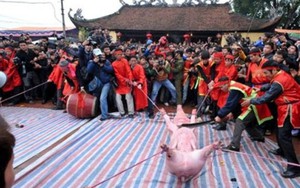 Văn hóa: 'nóng' trong tuần