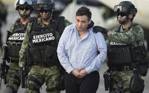 Mexico: Hàng loạt trùm ma túy lần lượt sa lưới