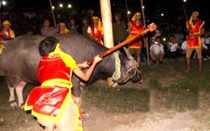 Bộ trưởng yêu cầu loại bỏ hủ tục 'đập trâu đến chết'