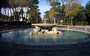 Chiến dịch 'ôm cây'