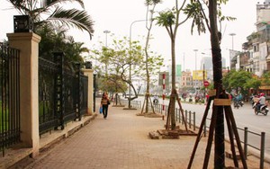 Sở Xây dựng Hà Nội trả lời 21 câu hỏi của báo chí về vụ chặt cây