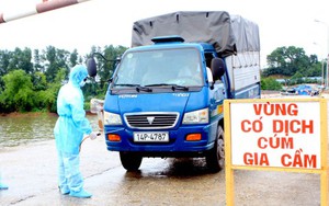 Xuất hiện ổ dịch cúm A/H1N1 tại Đồng Nai