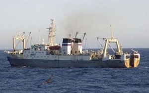 Tàu Viễn Đông chìm khiến 54 người chết do thuyền trưởng muốn thử... cảm giác mạnh?