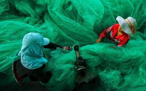 Bức ảnh ngư dân Việt Nam đoạt giải nhất nhiếp ảnh ở Mỹ