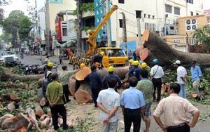 Chuyện vỉa hè: Sống nơm nớp