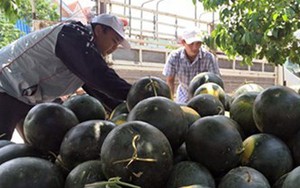 500 tấn dưa hấu, 10 tấn sách cũ và tình người thời Facebook