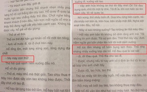 Đình chỉ phát hành truyện cổ tích “Thỏ trắng và Hổ xám” vì dung tục