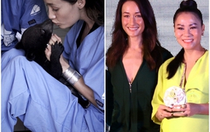 Maggie Q đi thăm gấu, dự tiệc cùng Thu Minh, Sơn Tùng M-TP
