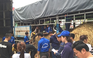 Mình nói chuyện gì nếu không nói chuyện dưa?