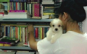 'Về đi Vàng ơi!' và 'Trẻ con không được ăn thịt chó'