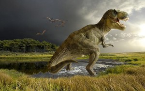 Phát hiện 43 quả trứng khủng long hóa thạch