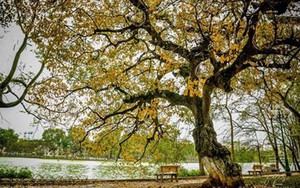 Bắc Bộ mưa giảm, Nam Bộ đề phòng tố lốc, mưa đá