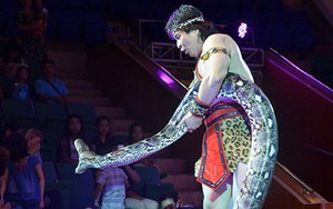 Xiếc Trung ương biểu diễn miễn phí tại TP.HCM dịp 30/4