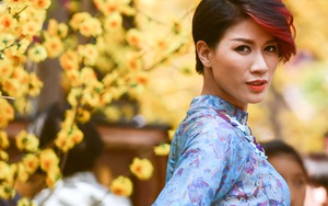 Khởi tố người mẫu Trang Trần, cho tại ngoại vì đang mang thai