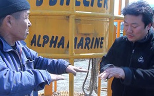 LHP Busan bị 'mất' 14 tỷ vì... dám chiếu phim đắm phà Sewol?