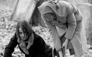 Khán giả dửng dưng với LHP châu Âu?