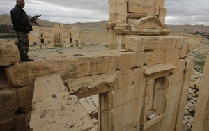 IS có khả năng phá nát một di sản thế giới nữa của Syria