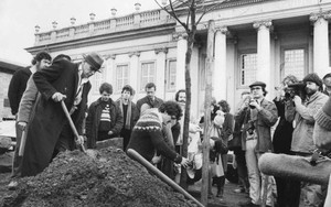 Chuyện ly kỳ về 7.000 cây sồi trong thành phố