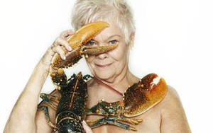 Vì đâu sao phim 007 Judi Dench khỏa thân cùng tôm hùm?