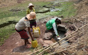 Quảng Trị - tâm nóng miền Trung đang héo hon vì thiếu nước