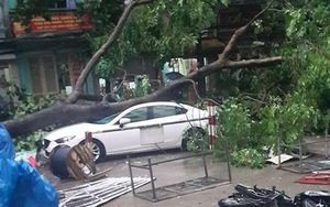 "Đám mây đối lưu" quật tơi bời cây cối, nhà cửa, xe cộ ở Hà Nội