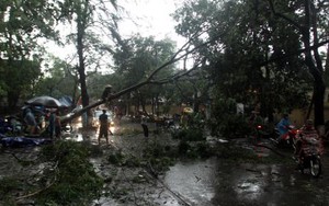 CHÙM ẢNH: Gió giật, mưa vùi, cây xanh Hà Nội gặp 'đại họa'