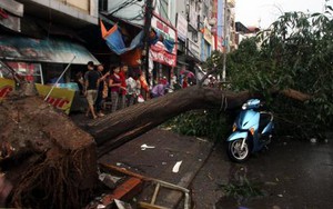 Mưa dông bất ngờ, Hà Nội như bãi chiến trường, 1 người chết, 3 người nguy kịch