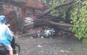 Thót tim với những pha hút chết trong cơn dông ở Hà Nội