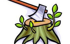 Làm sao chịu được những 3 người vợ đẹp thế