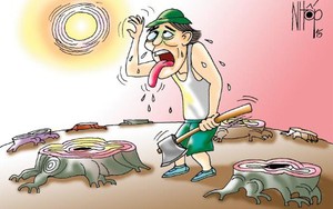 Tranh của họa sĩ Nhốp