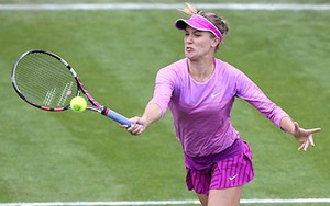 Hiện tượng Eugenie Bouchard quyết đứng dậy ngay ở Wimbledon
