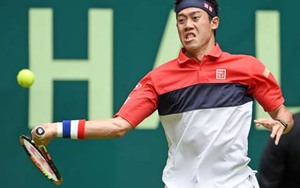 Halle Open: Nishikori vào Tứ kết, thách thứ Federer