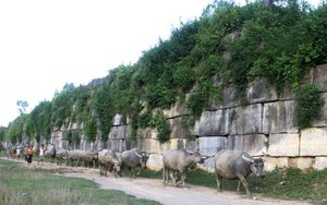 Cày bừa phát hiện cổ vật nghìn năm trong khu vực Thành nhà Hồ