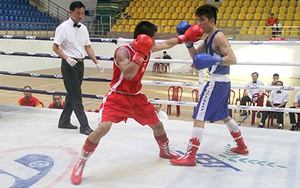 Hà Nội vô địch giải thiếu niên trẻ boxing toàn quốc 2015