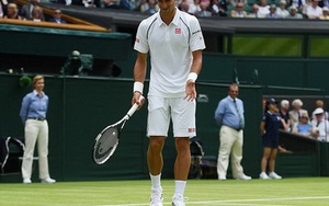 Wimbledon 2015: Chim sẻ xanh bay xuống sân… cổ vũ Djokovic?
