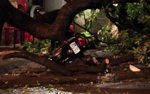 Ngày mai Hà Nội có mưa dông diện rộng kèm khả năng tố lốc, mưa đá