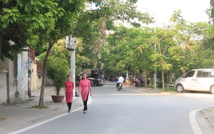 Ngắm phố Trịnh Công Sơn ở Hà Nội