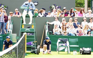 Nhặt bóng ở Wimbledon: Một công việc tàn nhẫn!